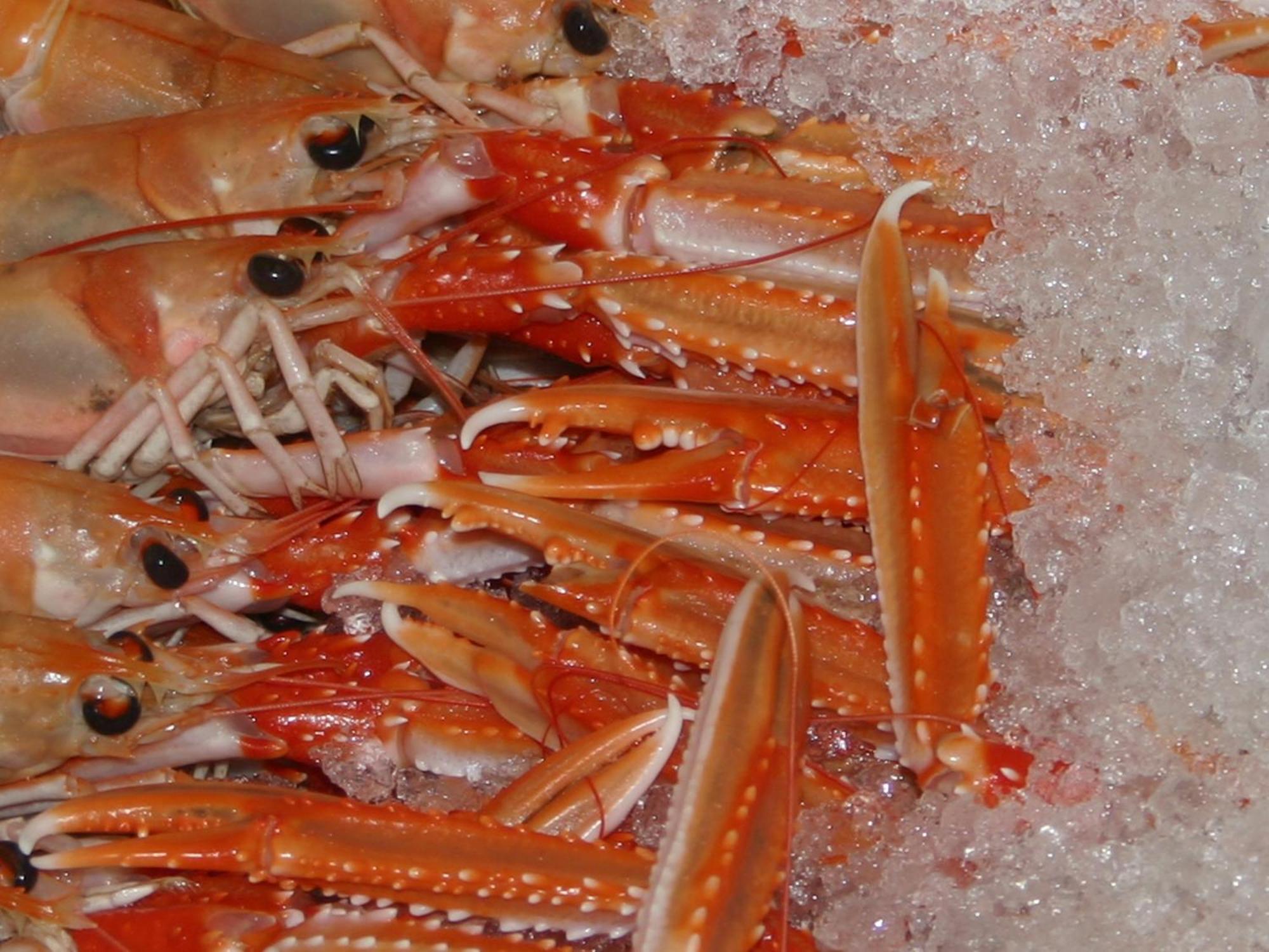 Hotel Restaurant De Boekanier Vrouwenpolder Zewnętrze zdjęcie
