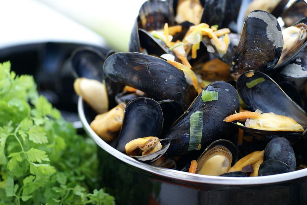 Hotel Restaurant De Boekanier Vrouwenpolder Zewnętrze zdjęcie